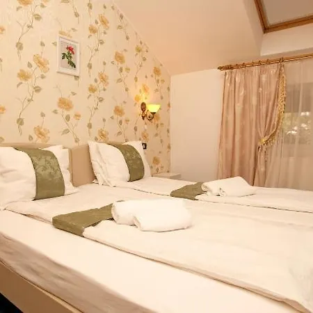 Guest house Dinu 3*