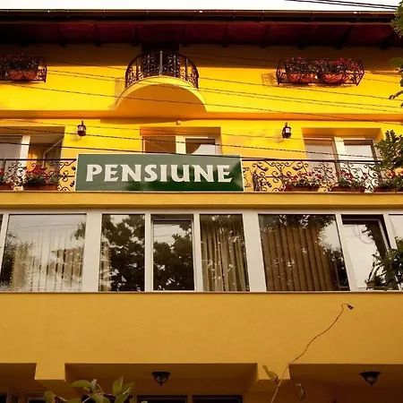 Pensjonat Dinu 3*
